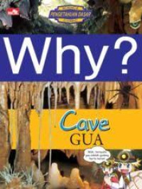 Image of Why ? Gua