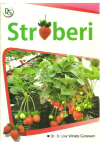 Stroberi